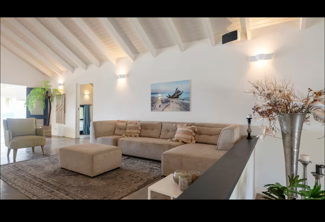 Relaxed indoor lounge beneath a white vaulted ceiling