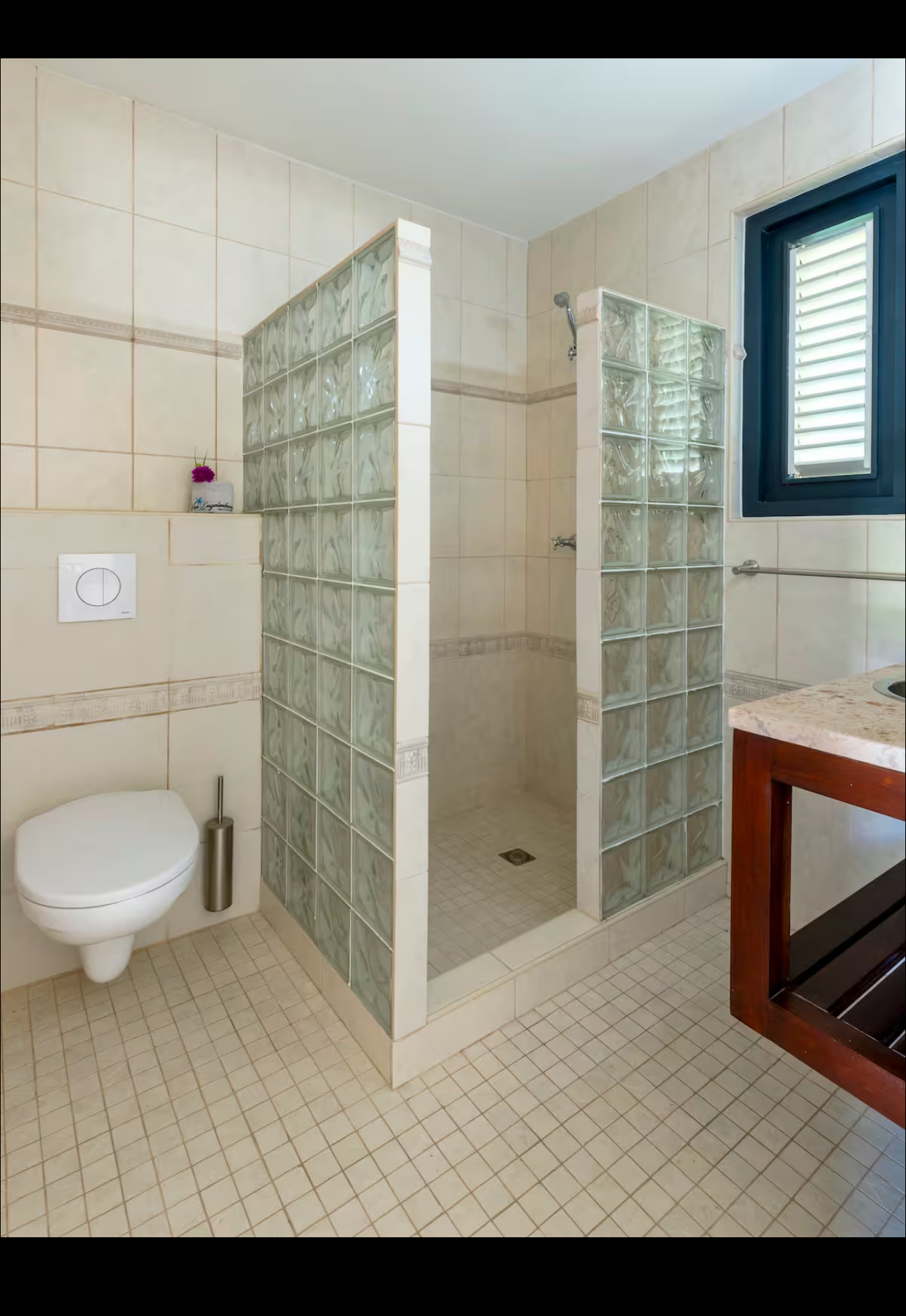 Bathroom with glass-block walk-in shower