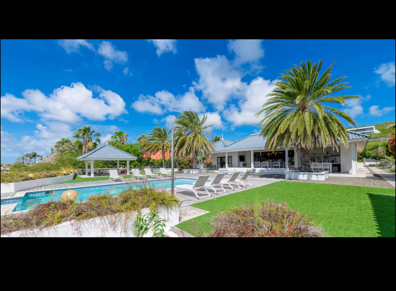 Wide view of the villa, pool, palms, and sun loungers